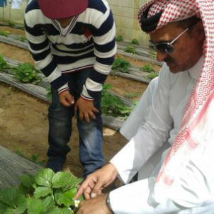 Fresh Produce
