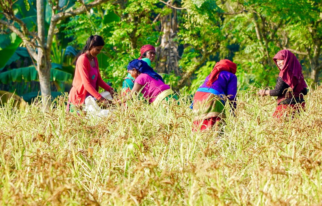 Nepali women doubly burdened by climate change