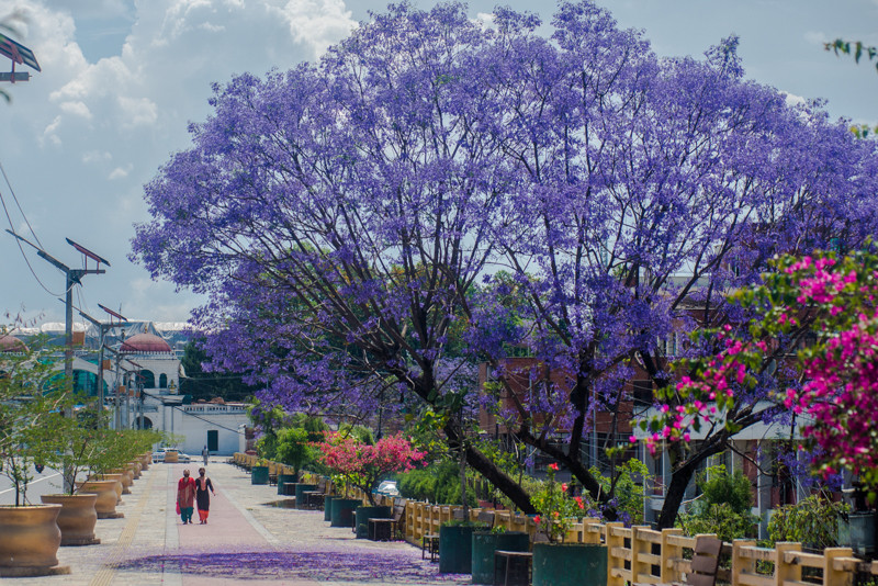 A green city is a smart city