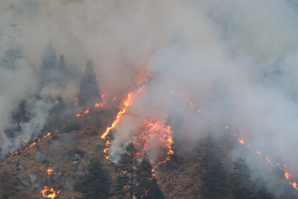 Forest fire in Manang. Photo: RSS