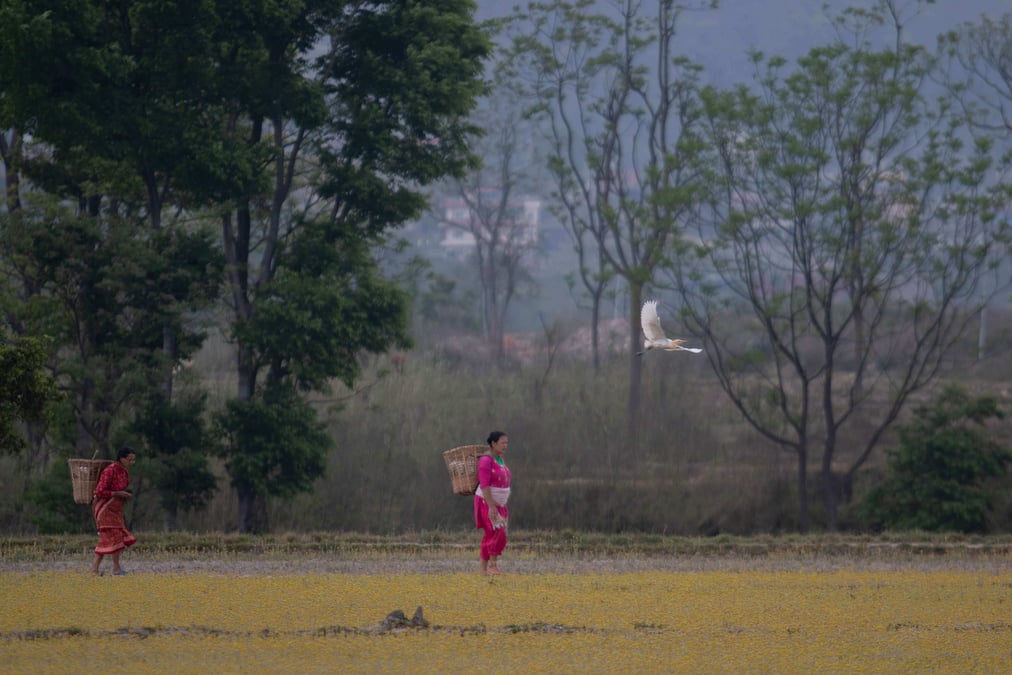 Photo: BIKRAM RAI/ NEPALI TIMES ARCHIVES