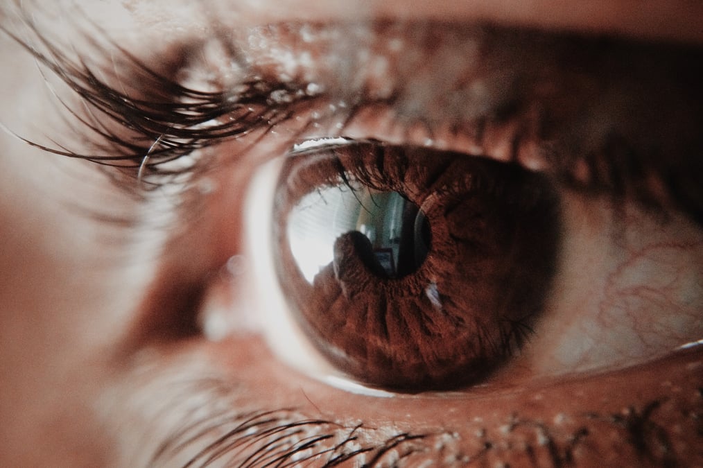 Photo: SUBIN/PEXELS