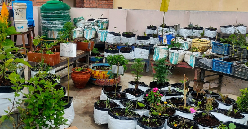Urban Agriculture