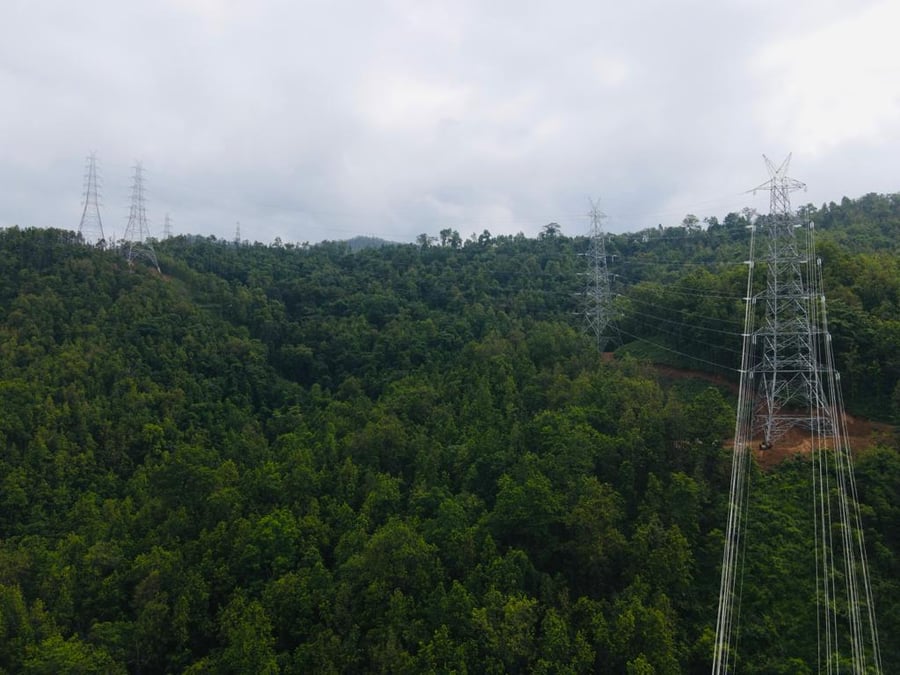 Electricity network