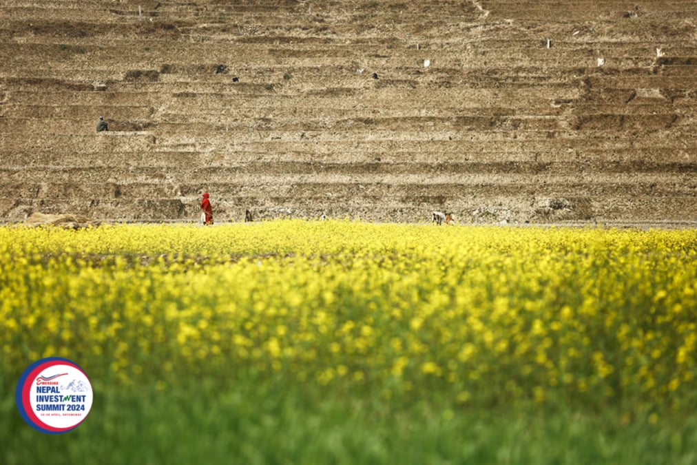Photo: AMIT MACHAMASI / NEPALI TIMES ARCHIVE