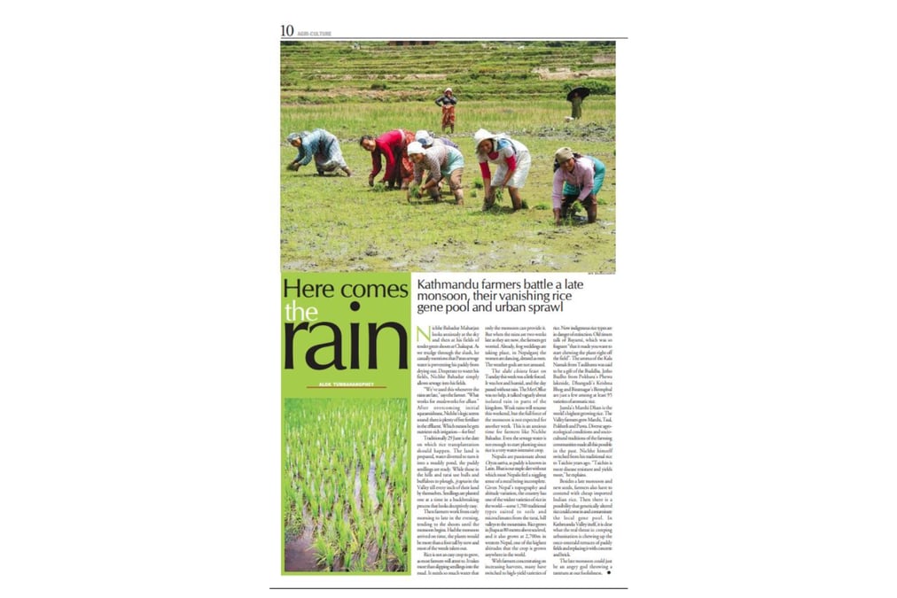 Nepali Times issue #203 2-8 July 2004: