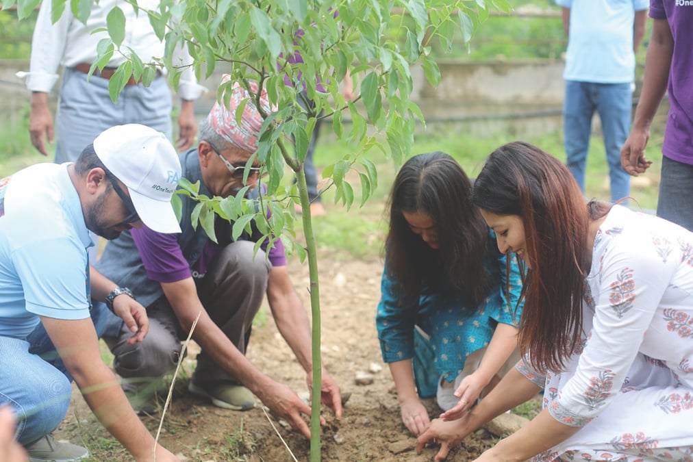 Ncell trees