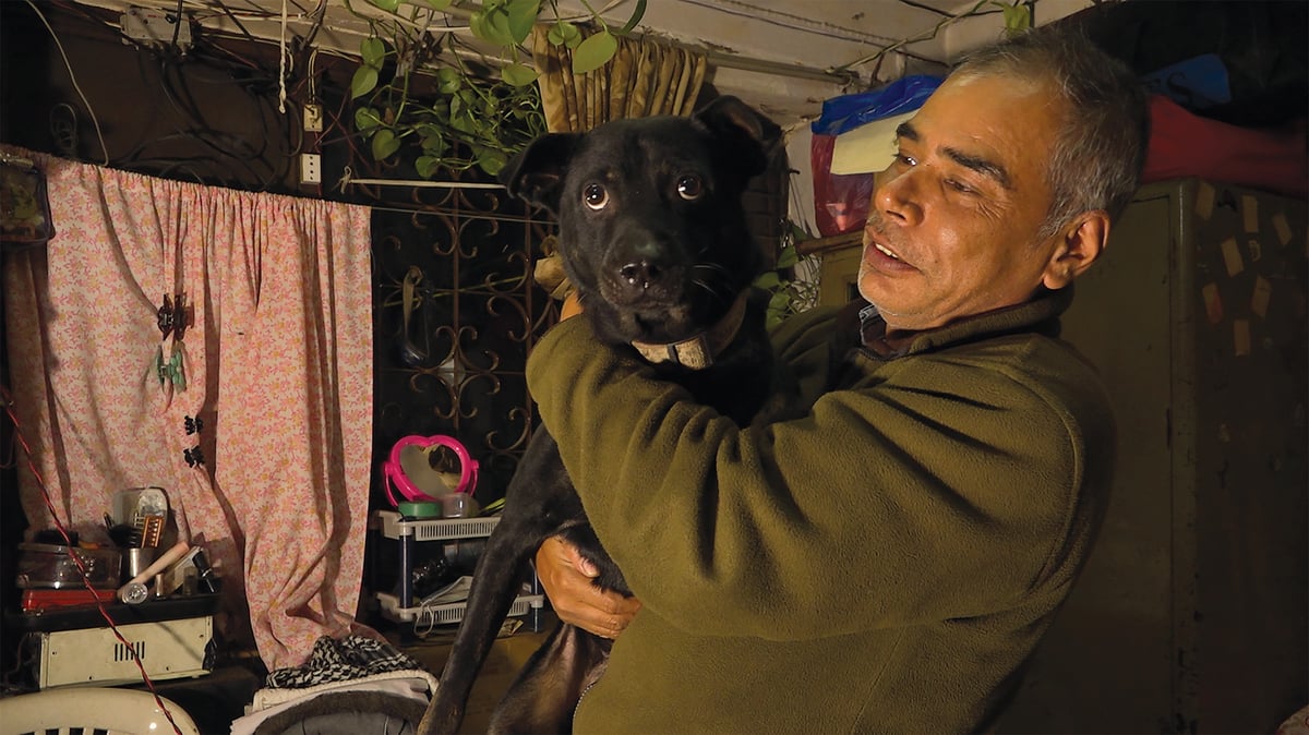 Nashir Khan wakes up every day to the ruckus of dogs he shelters at his home in Chobhar. All photos: SHYAM KARKI