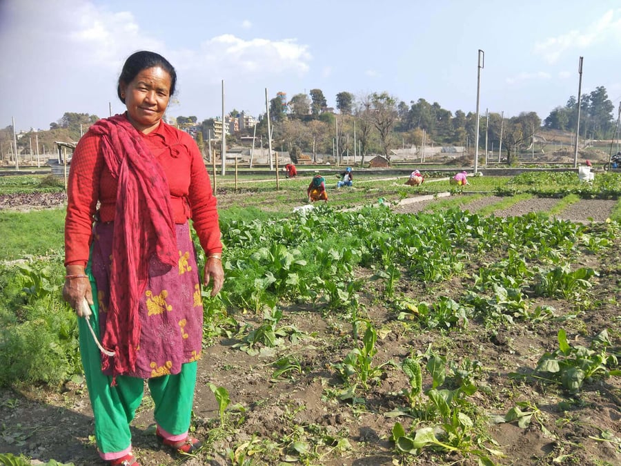 Ratna Rani Newar does not know how much longer she can keep her vegetable farm in Thimi. Photo: TAYLOR MASON