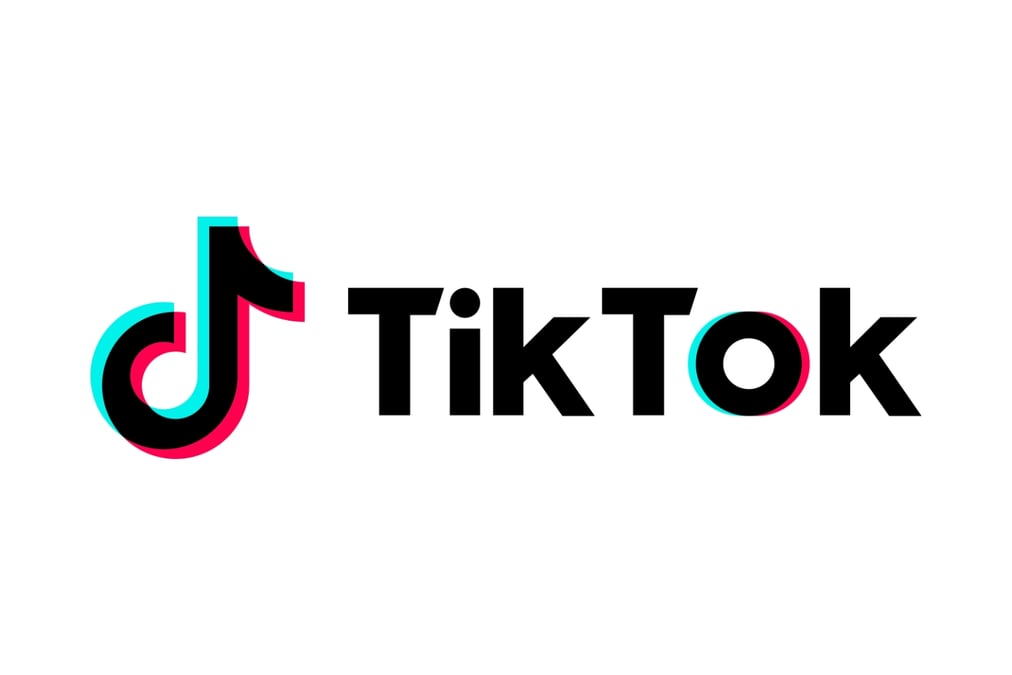 TikTok Safety