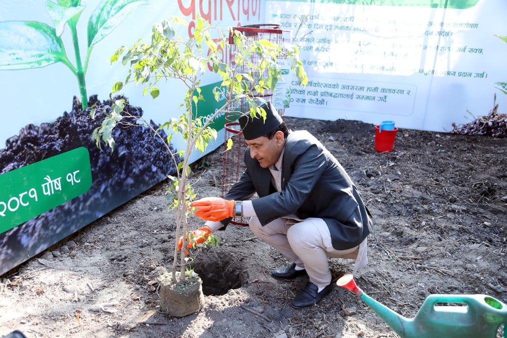 18,000 trees
