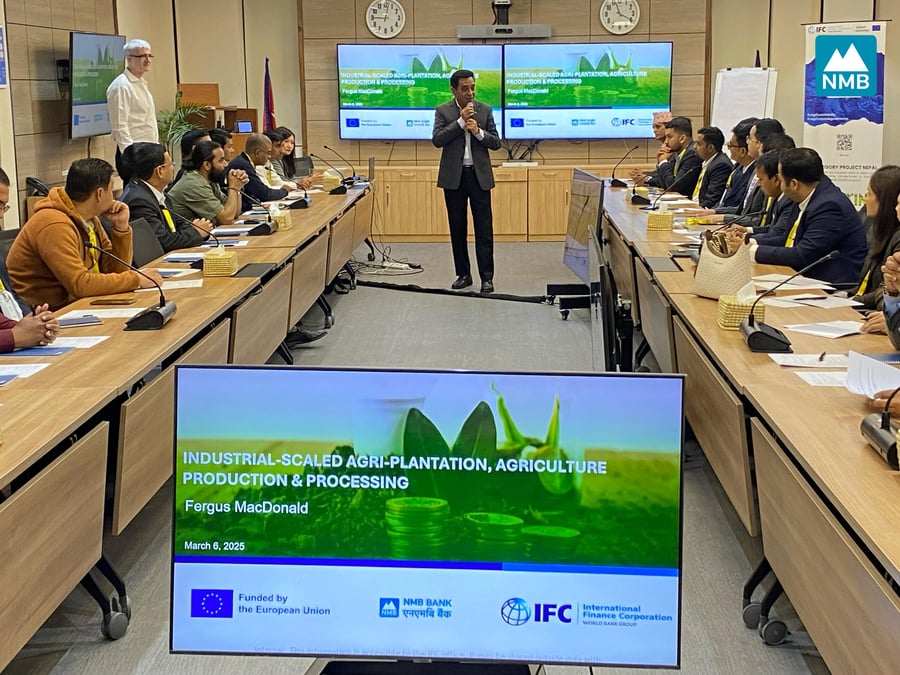 NMB, IFC, EU