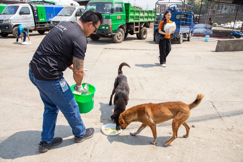 Aloft animal welfare