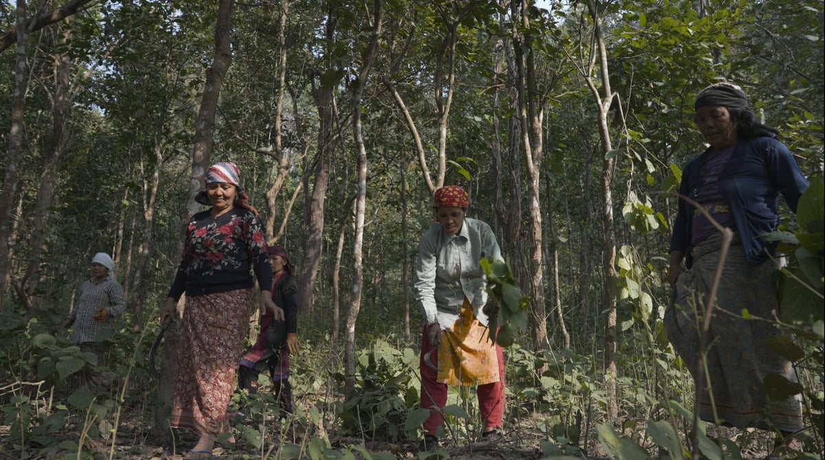Photo: BIDEK DULAI/ FAO
