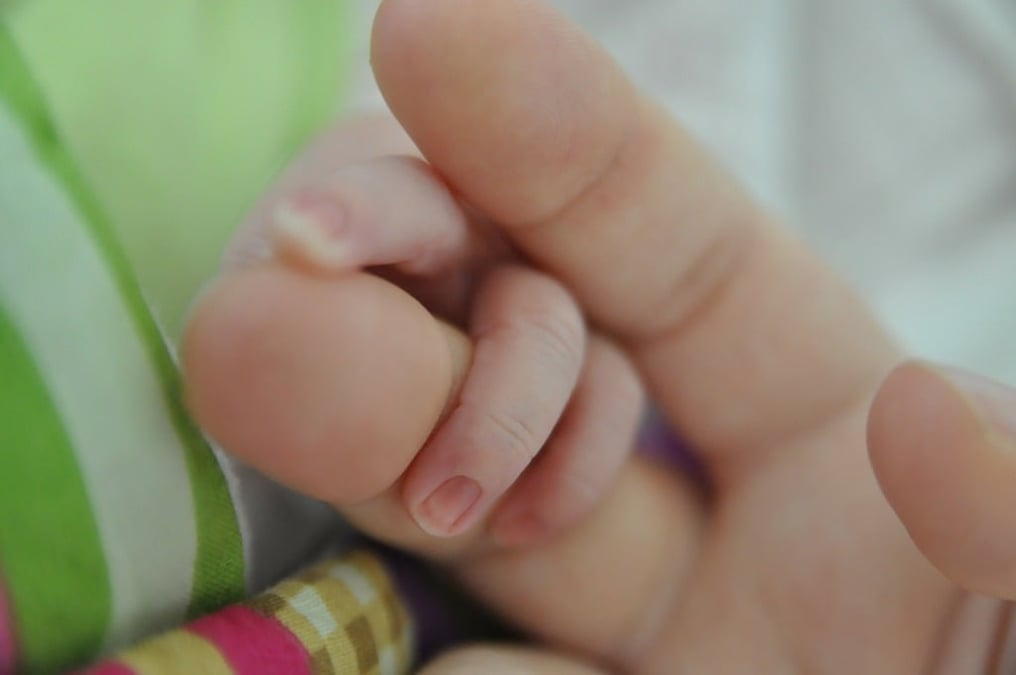 IVF scam
