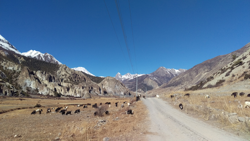 Manang tourists