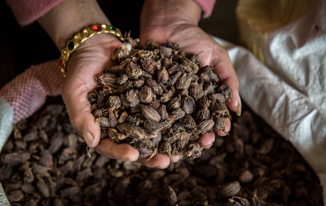 Cardamom up, tea down