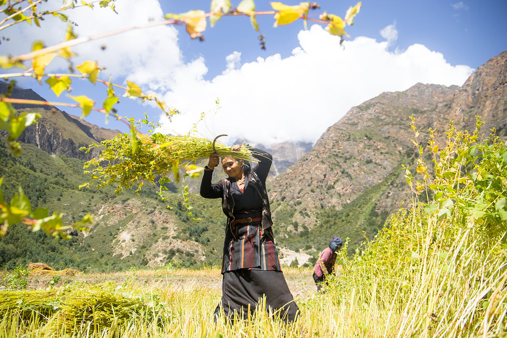 Photo: SONAM CHOEKYI LAMA