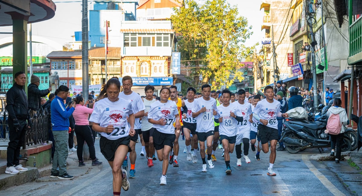 Red Panda marathon