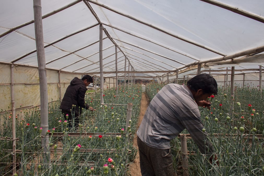 Flower farmers