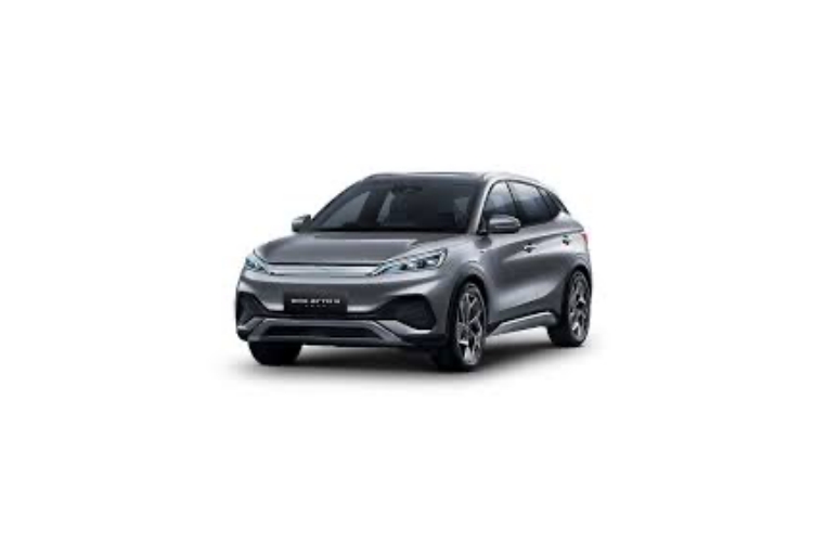 Chinese EVs up