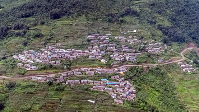 Migration in a microcosm