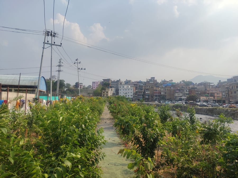 Rs3B green zones