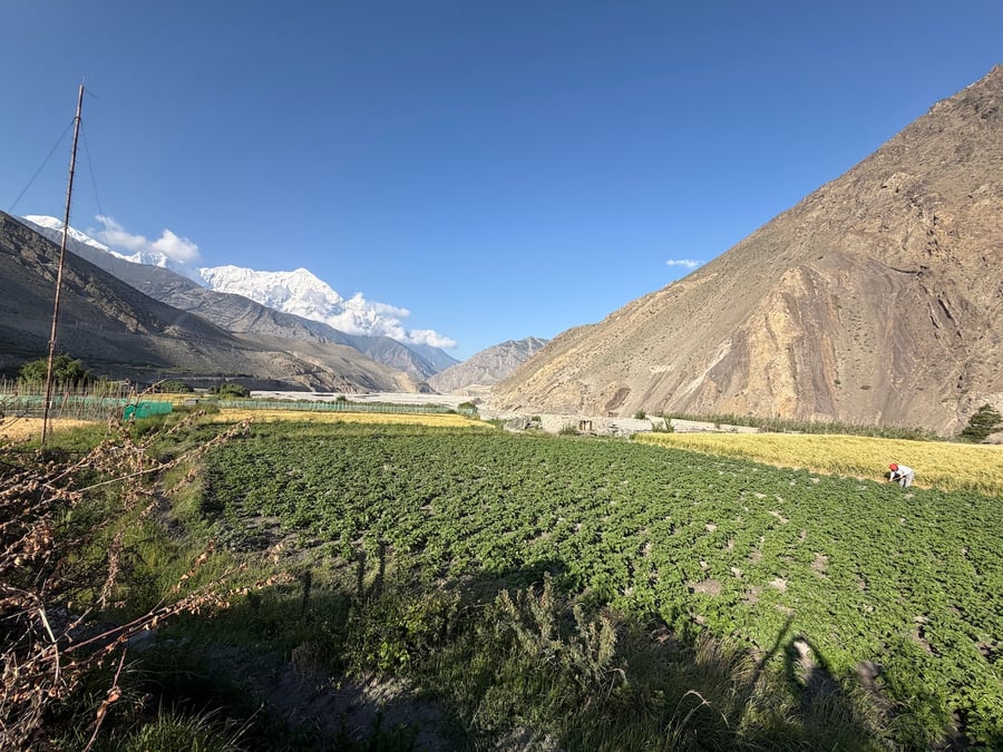 All photos: MUKESH POKHREL