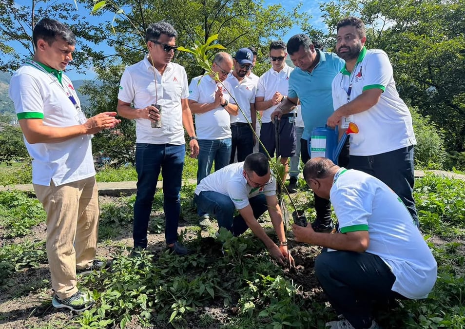 Nabil tree plantation