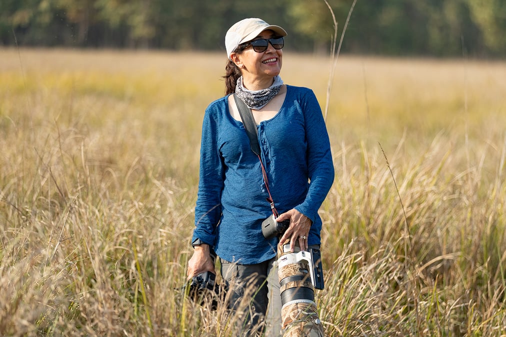 From tiger trails to children’s tales