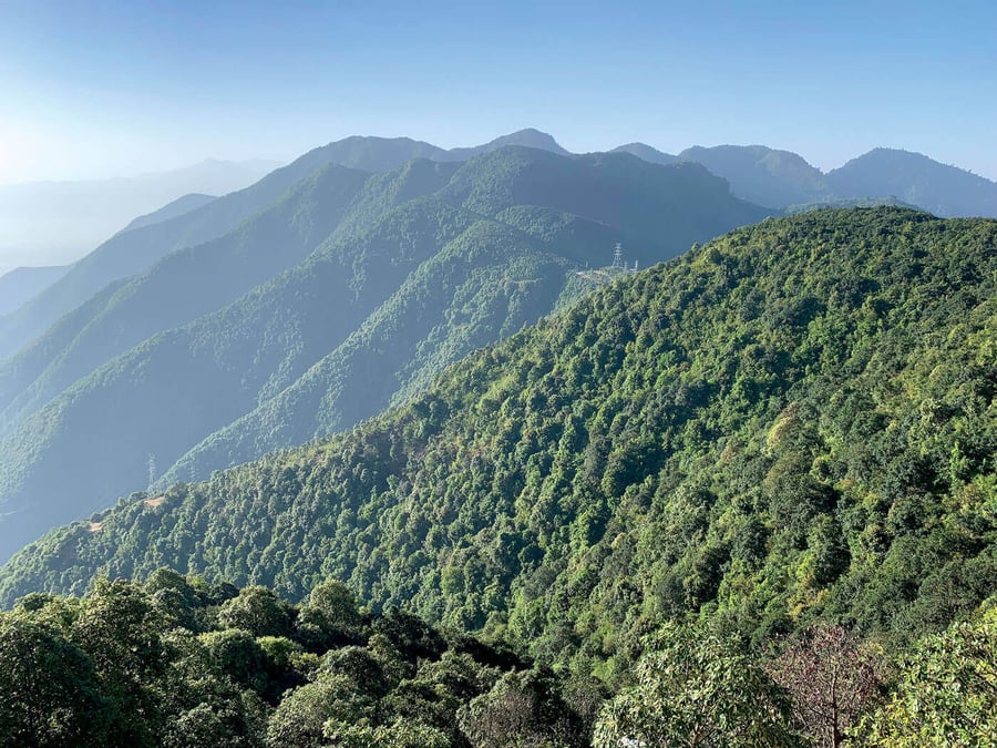 Tanahun Forest Office