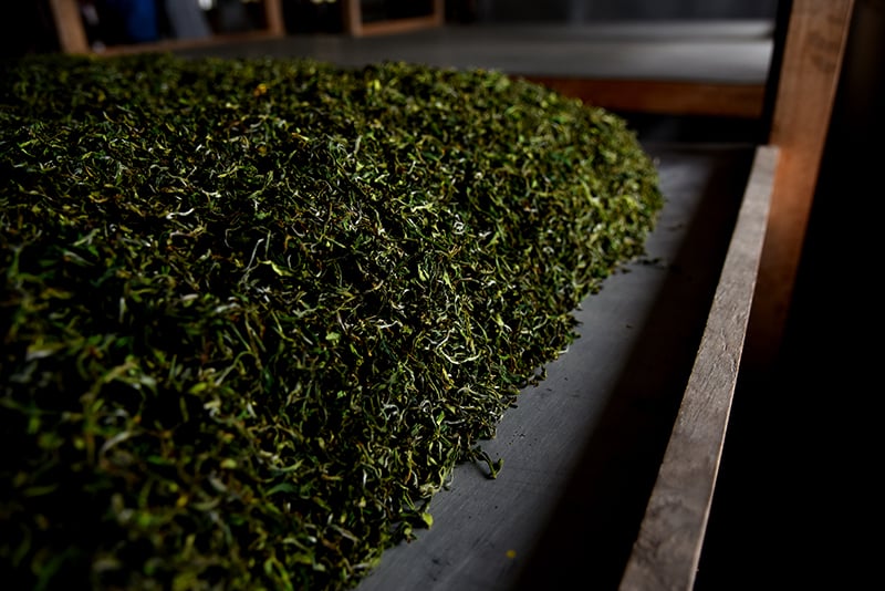 Tea to be tested