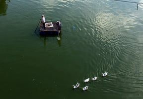 Locals cleaning the pond in Pim Bahal in Patan on Thursday.