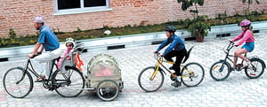 Family cycle