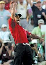 Tiger at the top