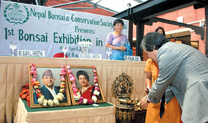 Happenings - Issue #244: BONSAI DIPLOMACY