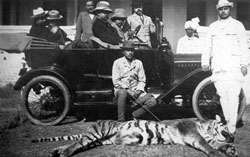 Colonial hunts