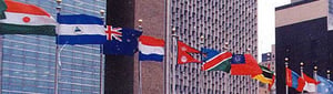Model multilateralism