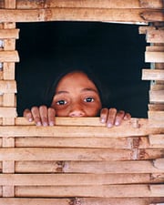 Bamboo curtain