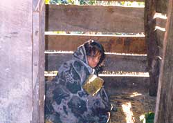 No refuge for Sharan