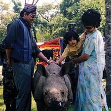 Pollution, poaching threaten Chitwan’s success