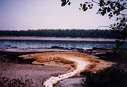 Pollution alarm on the Narayani