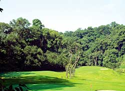 Golf ecology