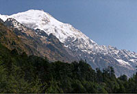 Explore Langtang