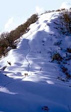 Tagging along to Langtang