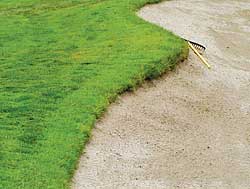 Golf talk