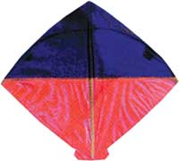 Kite fite in Nepal