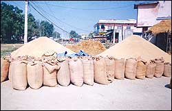 Rajapur’s mini-Rolpa