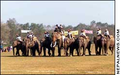 Elephant polo