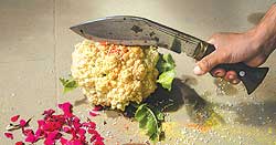A vegetarian Dasai